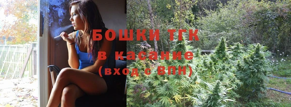 кокс Арсеньев