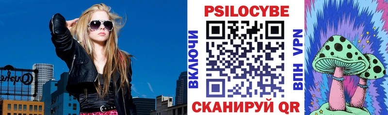 Купить Торжок Псилоцибиновые грибы Magic Shrooms